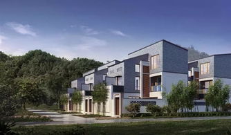 五開(kāi)五罄 廣州萬(wàn)科這個(gè)盤9999元 平起,雙11還送n重禮