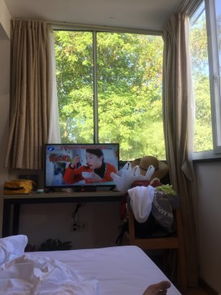 杭州隱泉居度假民宿 原晶晶的小窩精品客棧，一處寧靜的小屋