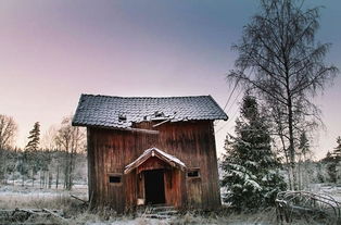 北歐廢棄小屋 攝影師鏡頭下的詩意意境